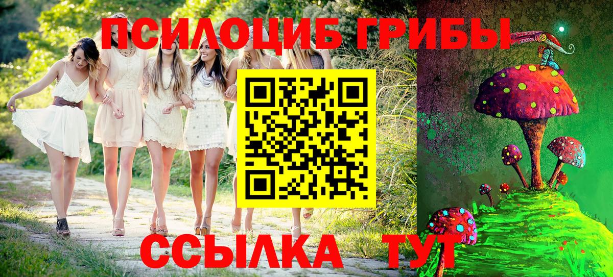 Галлюциногенные грибы мицелий Белая Калитва